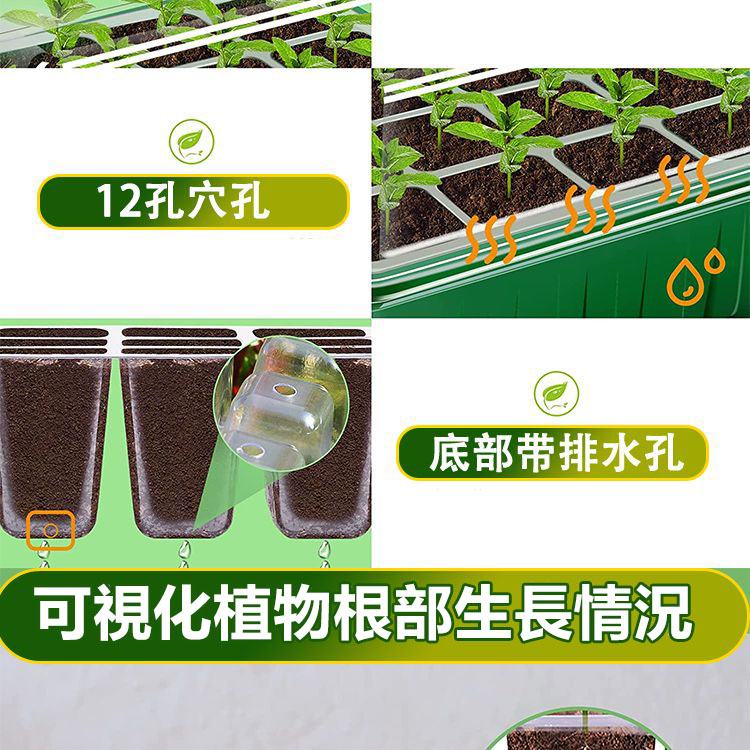 1727820877126863.jpg 3.jpg