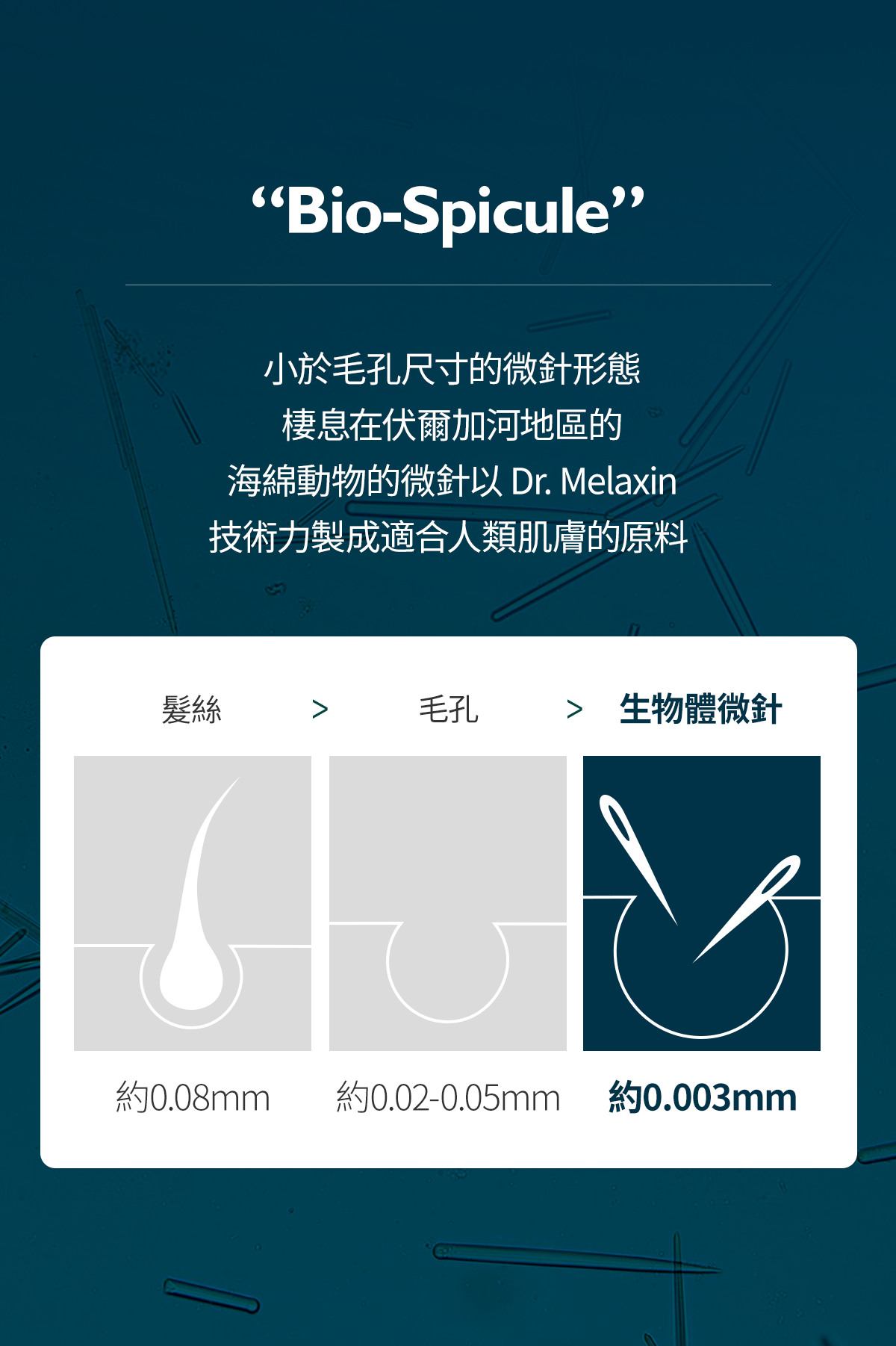 1743345706868811.png 121709199686.png